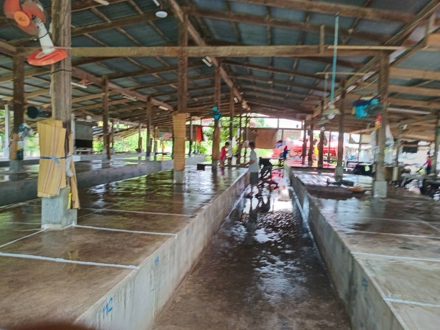 นายกเทศมนตรีตำบลโพนงาม เป็นประธานเปิดโครงการออกกำลังกายเพื่อสุขภาพ Zumba Dance